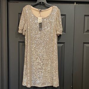 Cable & Gauge Silver Sequin  Dress
